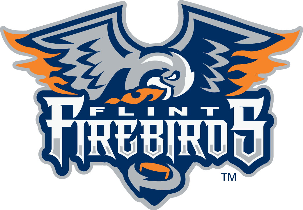Flint Firebirds 2015-Pres Primary Logo iron on transfers for clothing